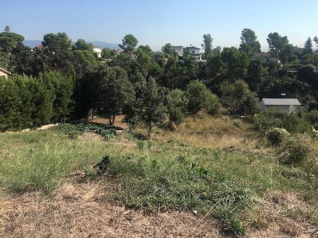 Terreny rural amb vegetació i arbres, ideal per a projectes immobiliaris o majors desenvolupaments en un entorn natural tranquil.
