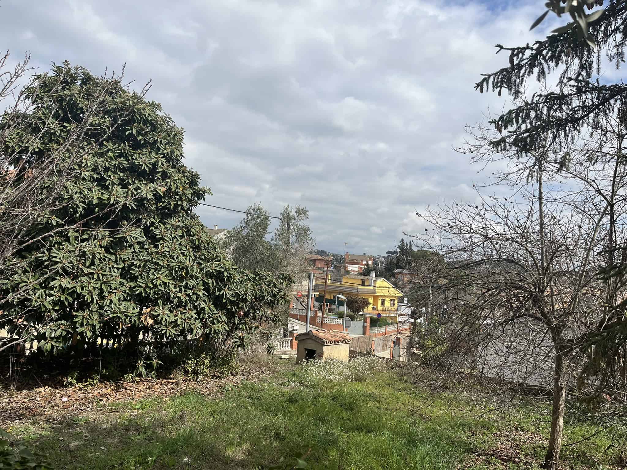 Android 12, alt: Paisatge urbà amb arbres i cases a la ciutat, amb el cel ennuvolat i escena tranquil·la.