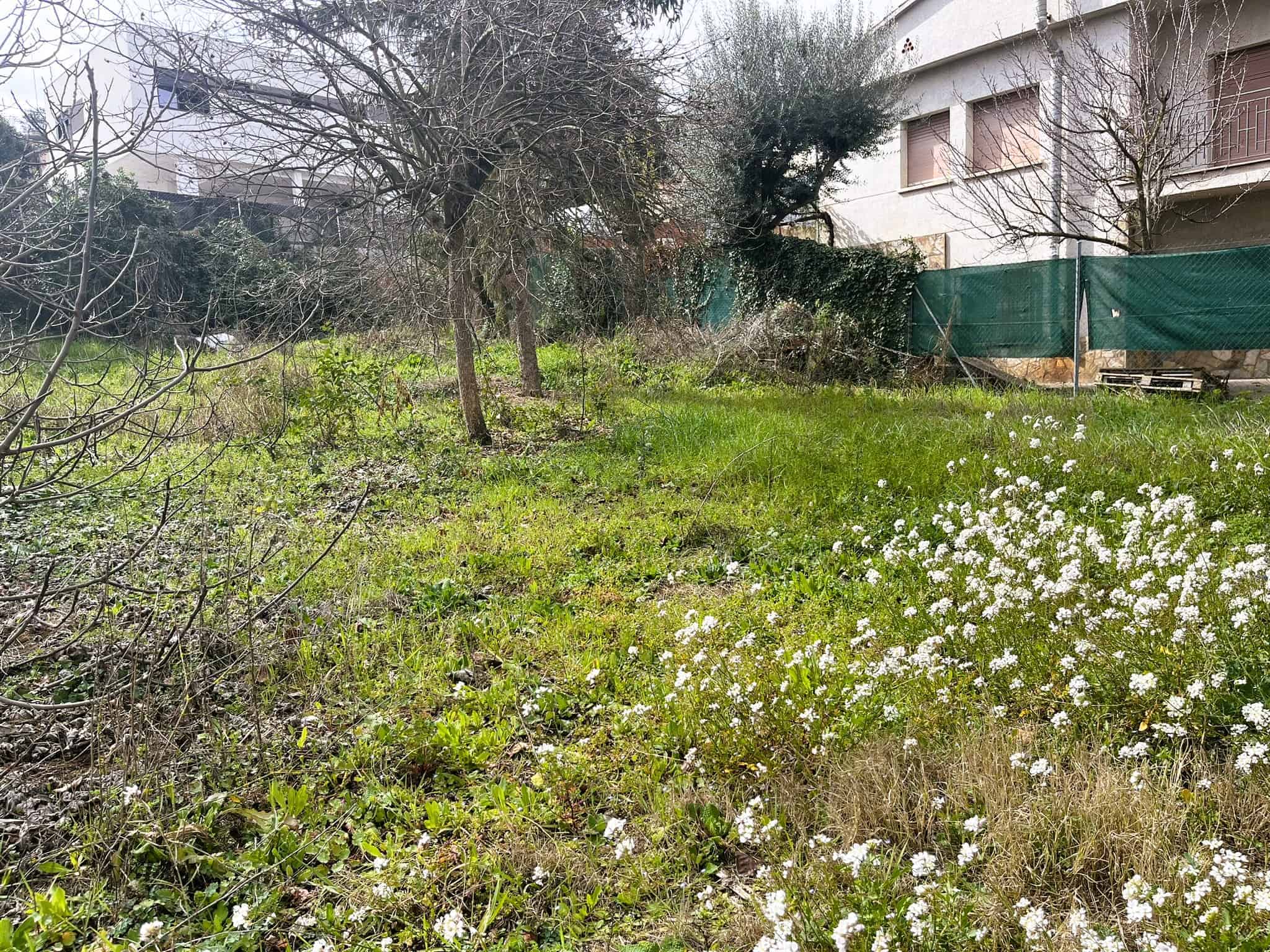 Parc amb arbres i gespa verda a prop d'edificis residencials, ideal per a inversió immobiliària i desenvolupament de terrenys a la ciutat, amb vegetació abundant i entorn tranquil.